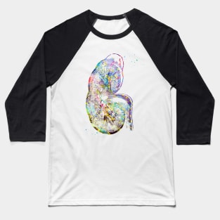 Kidney section Baseball T-Shirt